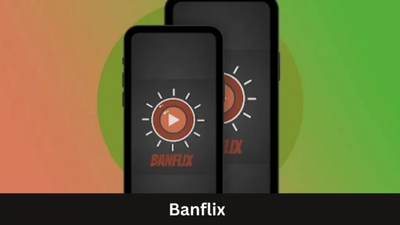 Banflix: Revolutionizing Digital Content with Curated Streaming for Niche Audiences