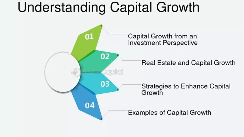 Exploring Rapital Capital: A Growing Force in Financial Investment