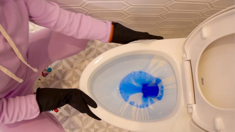 Swish Descaler for Toilets: A Comprehensive Guide to Cleaner, Fresher Bathrooms